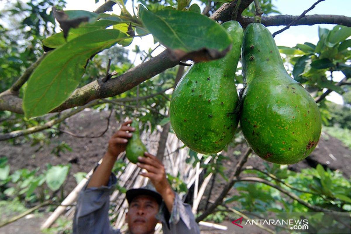 Kemarin, akses keuangan bagi UMKM hingga prokes di tempat wisata