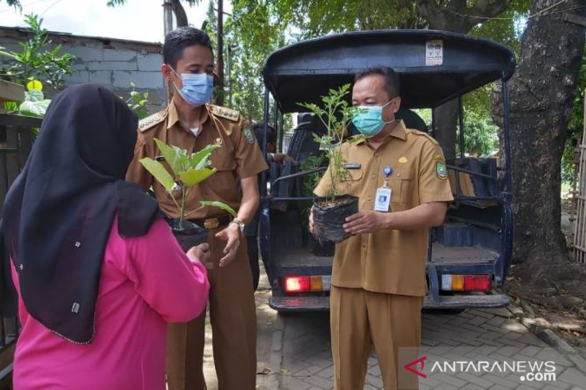 DKP Kota Tangerang berikan 1.000 bibit tanaman terong - tomat ke masyarakat