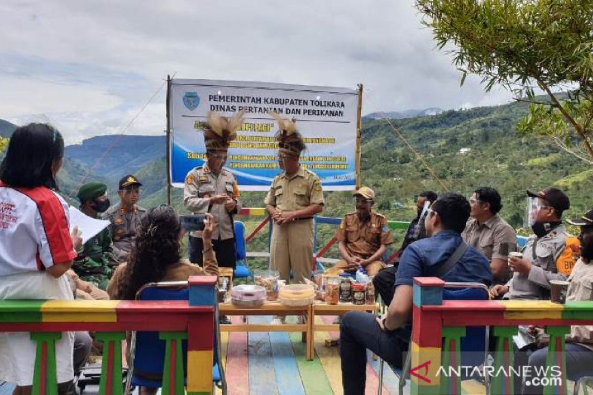 Pemkab Tolikara mulai kembangkan kawasan agrowisata dorong perekonomian