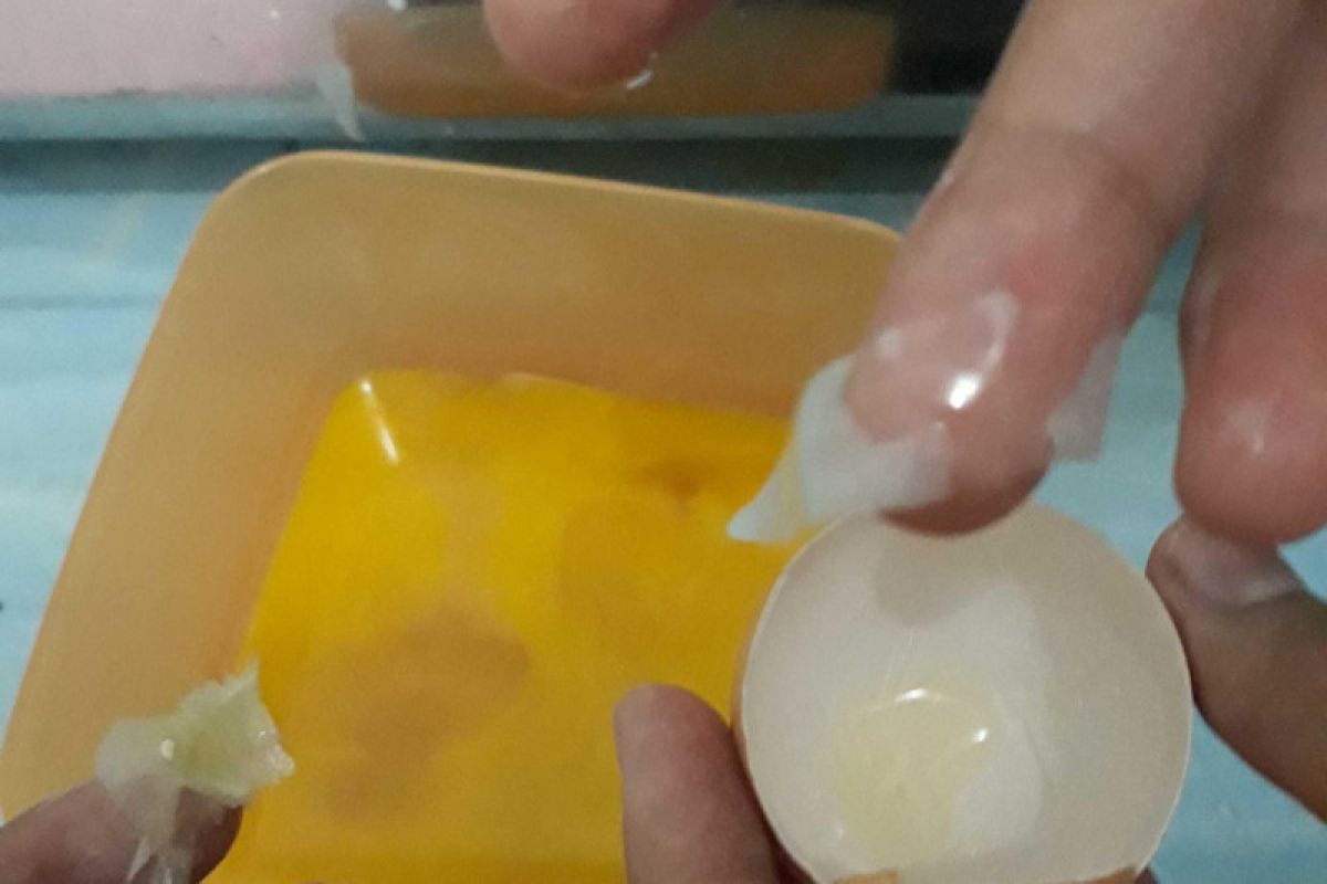 Hoaks! Telur palsu bungkus dari kertas, ada silikon di kuning telur