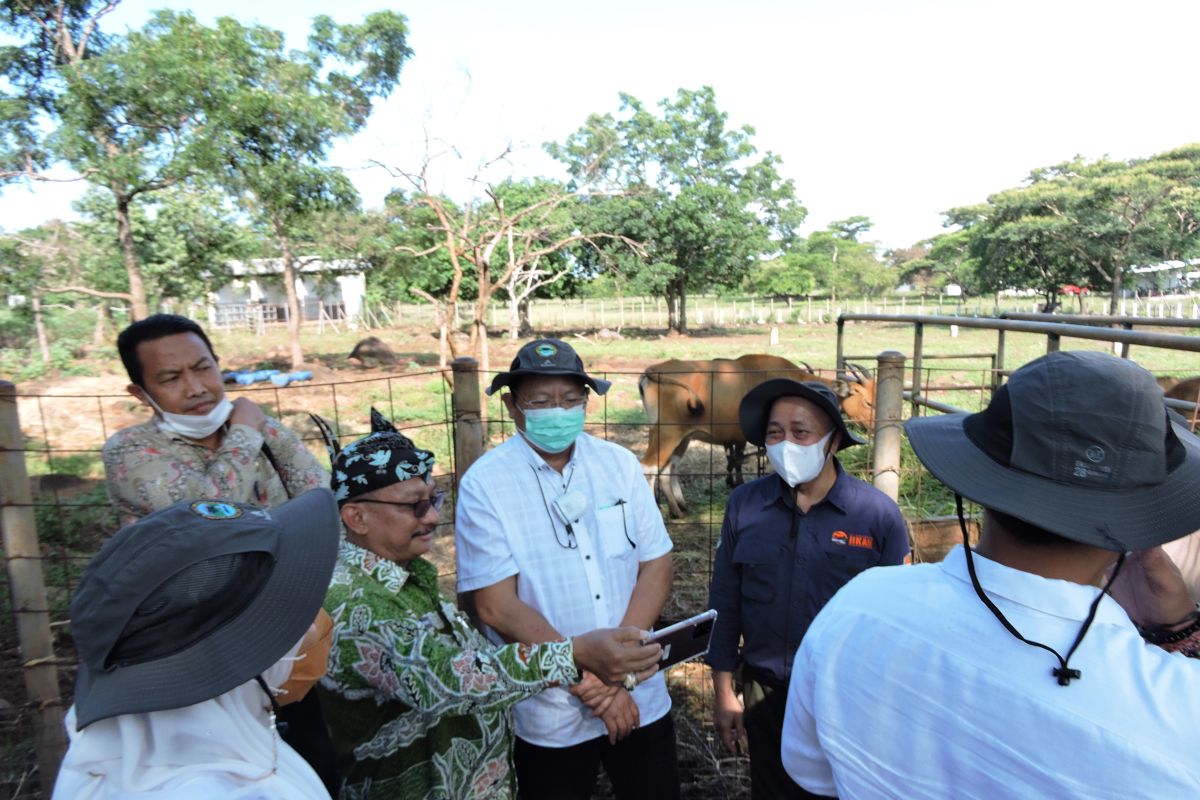 Kementerian LHK segera kaji pengembangan wisata di Taman Nasional Baluran Situbondo