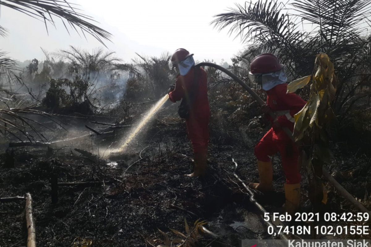 Memenjarakan pembakar hutan  dan lahan