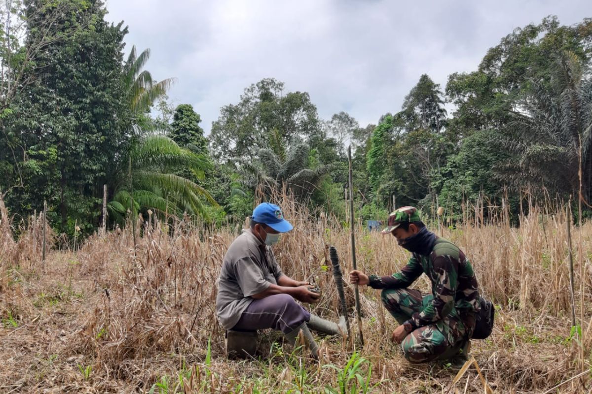 Anggota Satgas TMMD ke 110 bantu warga bersihkan rumput di kebun