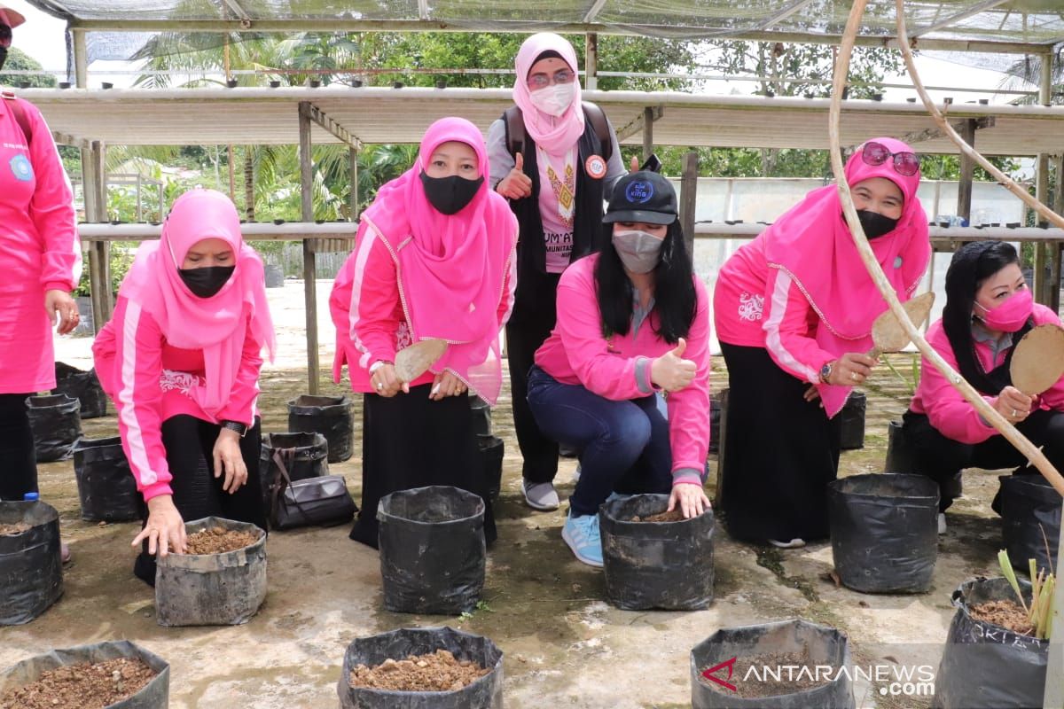 TP PKK Kaltim isi rangkaian peringatan HKG PKK tanam pohon dan sayuran