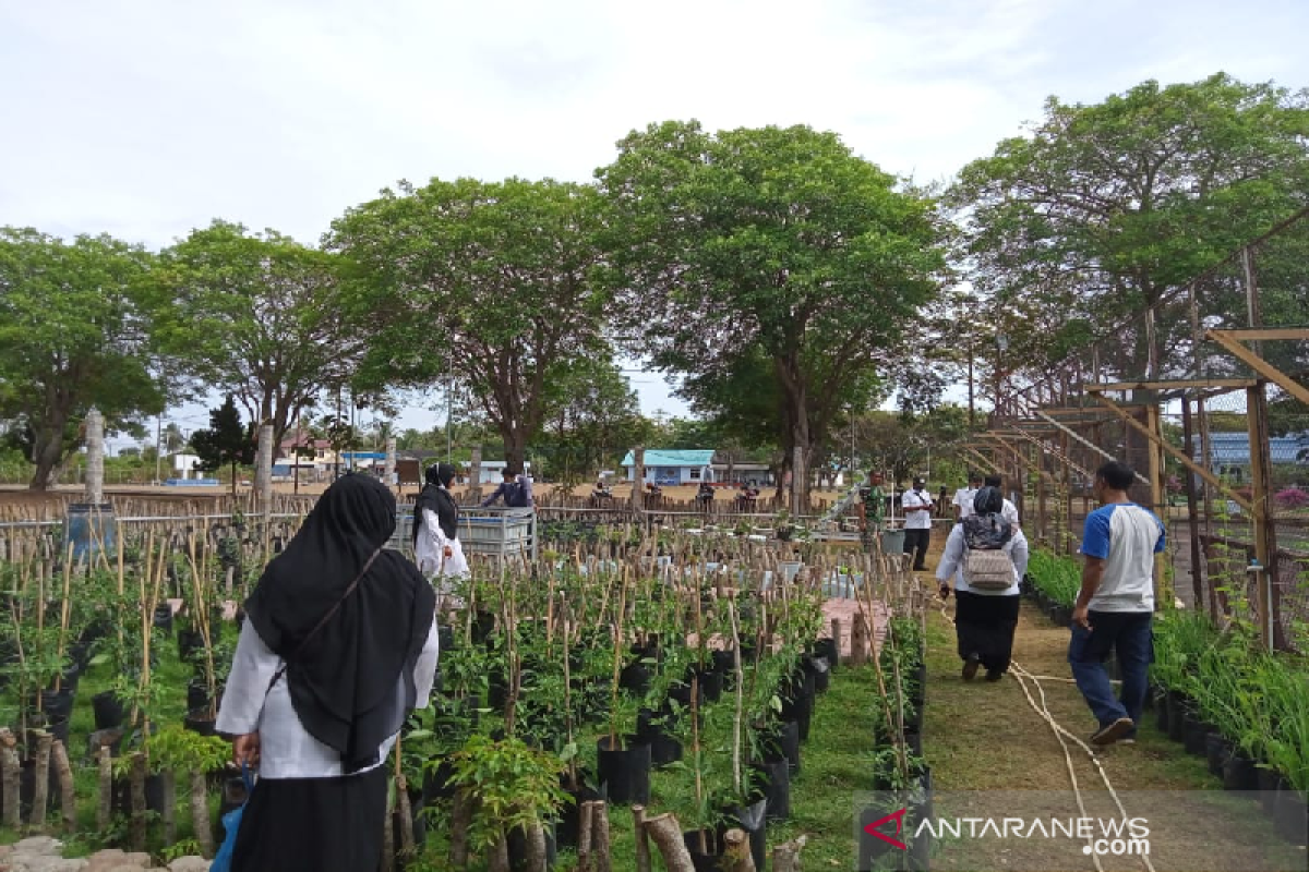 Dinas Pertanian dan Pangan Sabang tinjau kebun barokah Lanud Maimun Saleh