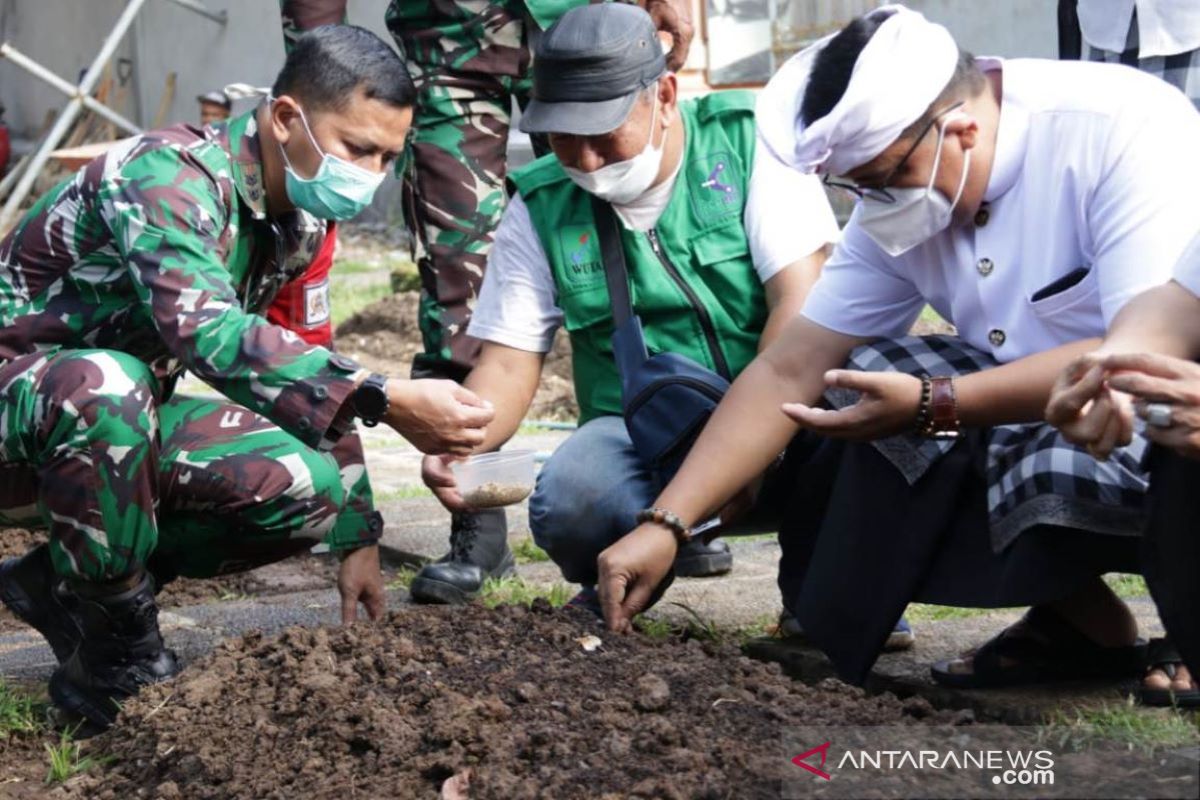 Bupati Tabanan perkenalkan sorgum ke para petani