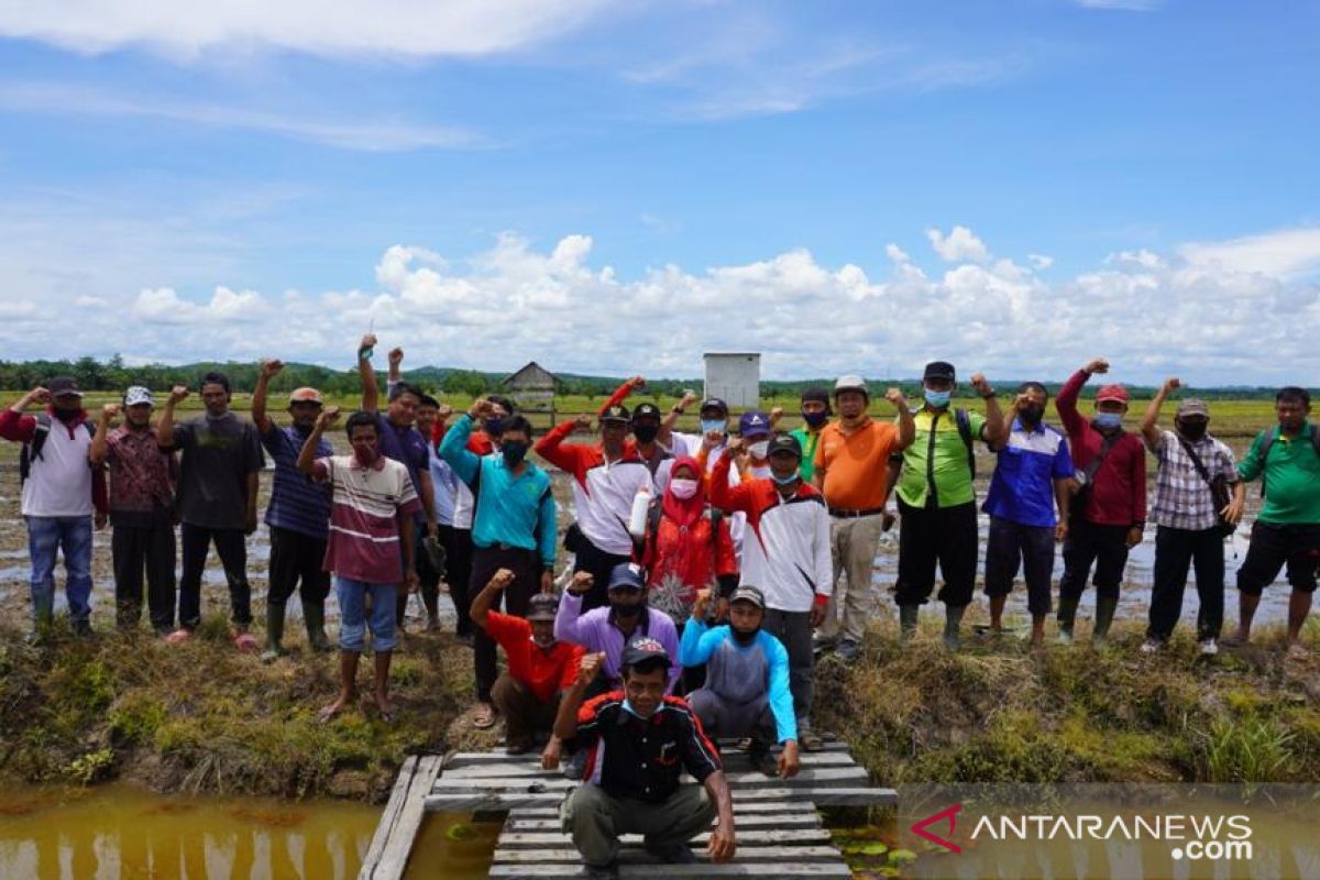 Bank Indonesia Dukung Petani Berlatih Pertanian Organik