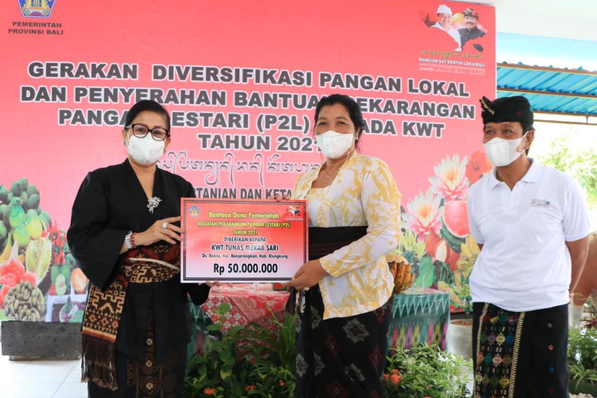 PKK Bali ajak masyarakat kampanye cinta makanan tradisional