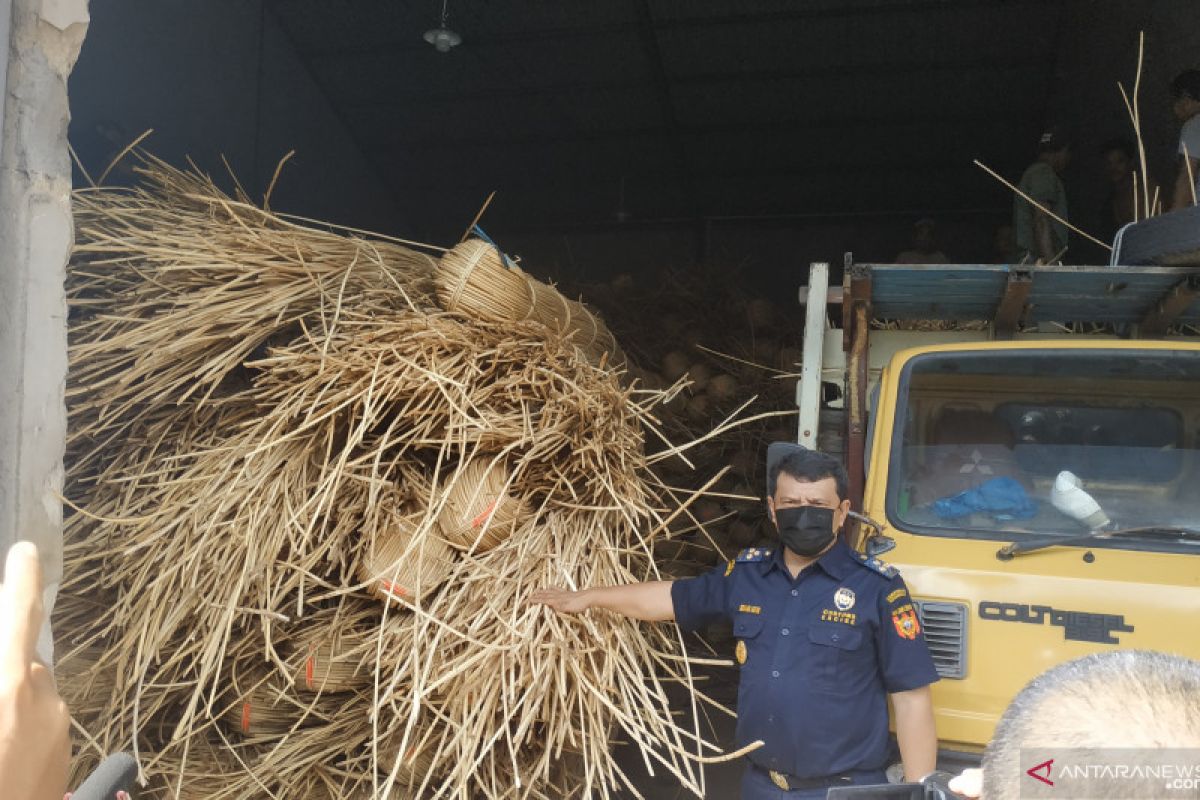 Bea Cukai gagalkan penyelundupan 100 ton rotan ilegal di perairan Kalbar