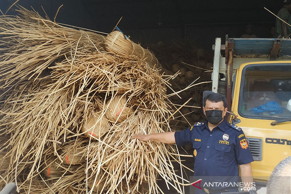 Bea Cukai gagalkan penyelundupan 100 ton rotan ilegal di Kalbar