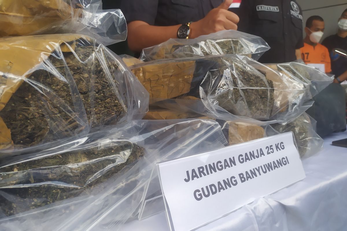 BNNP Bali tangkap pria Banyuwangi bawa 25 kg ganja