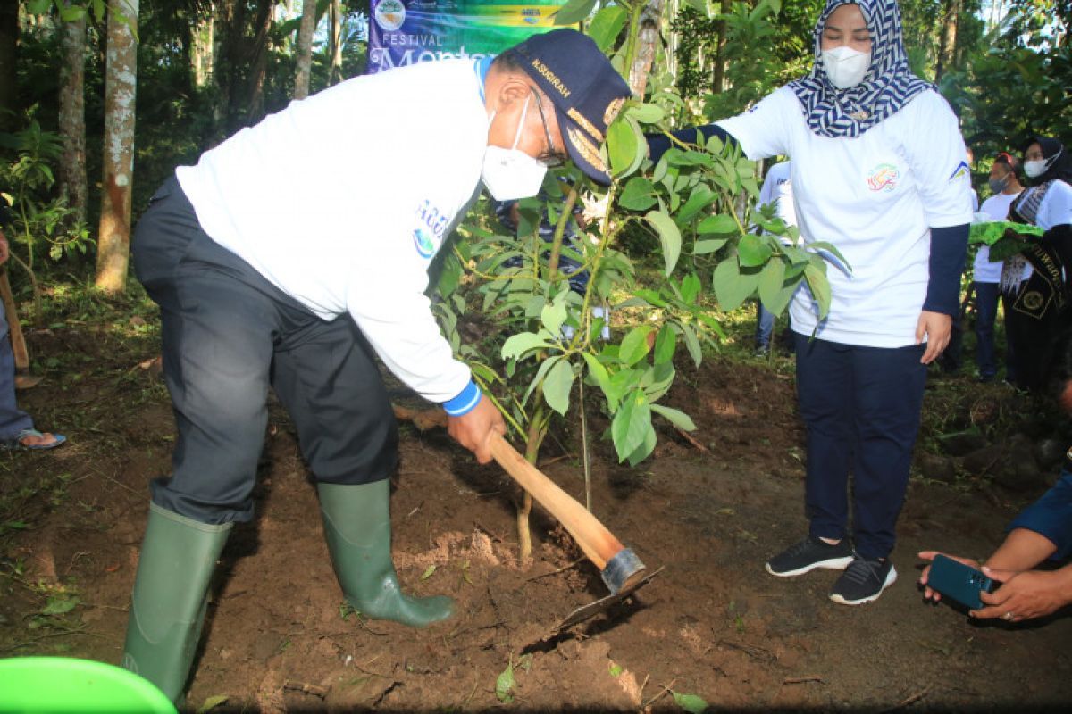 Jaga sumber mata air, Banyuwangi kampanyekan tanam pohon di bantaran sungai