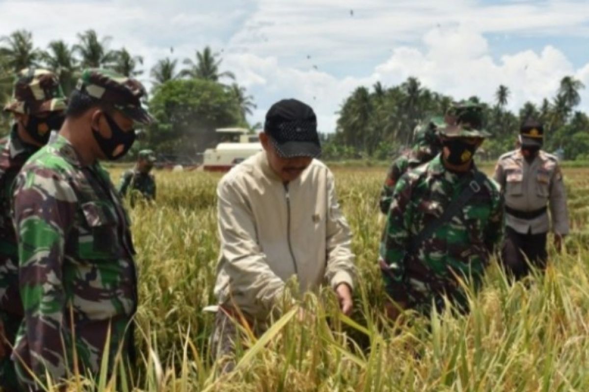 TNI motivasi petani gunakan pupuk organik untuk tingkatkan produksi