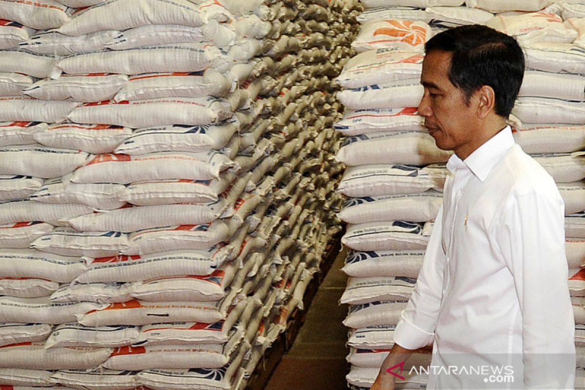 Presiden Jokowi tegaskan beras impor belum masuk