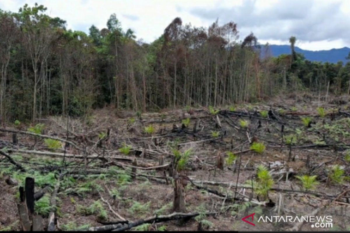 Sengketa lahan jadi perhatian Bupati Nunukan