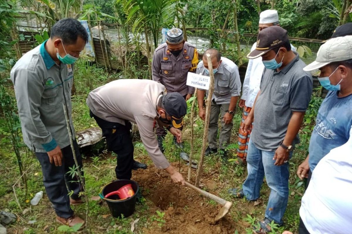 Polres Merangin  bersama warga tanam bibit tanaman produktif dibekas lokasi Peti