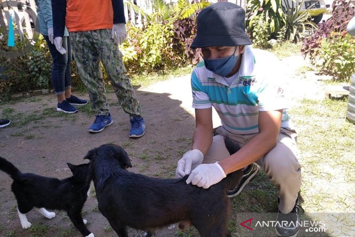 Dinas Peternakan Bone Bolango vaksinasi puluhan hewan peliharaan