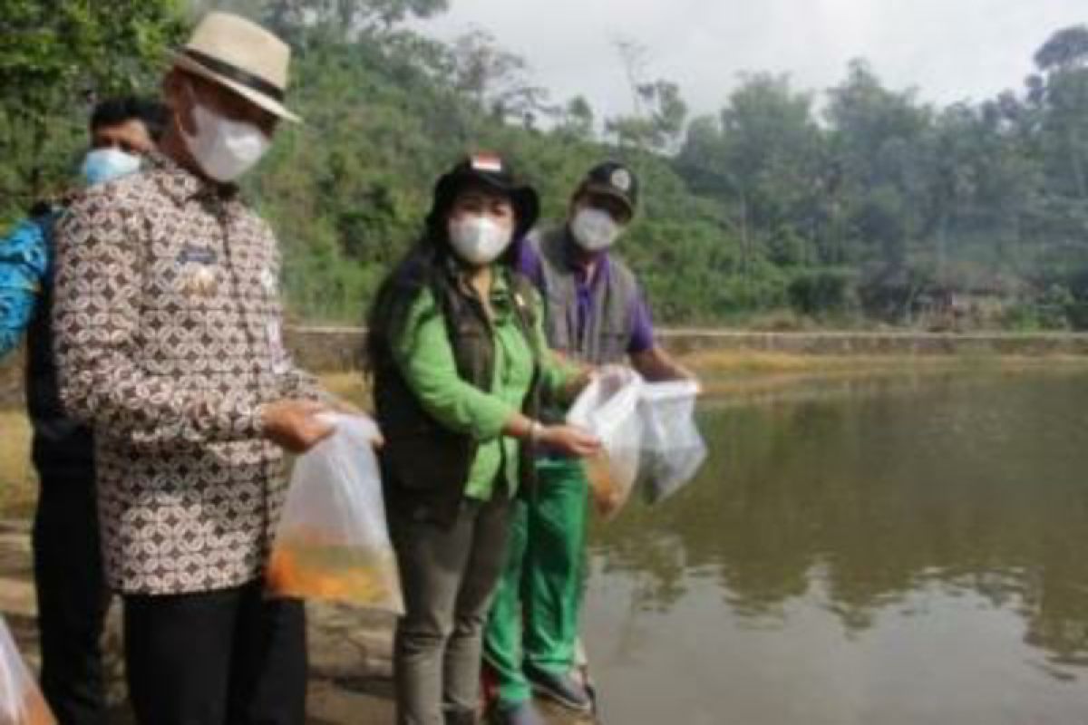 Pemkab Gunung Kidul galakkan "restocking" ikan di telaga