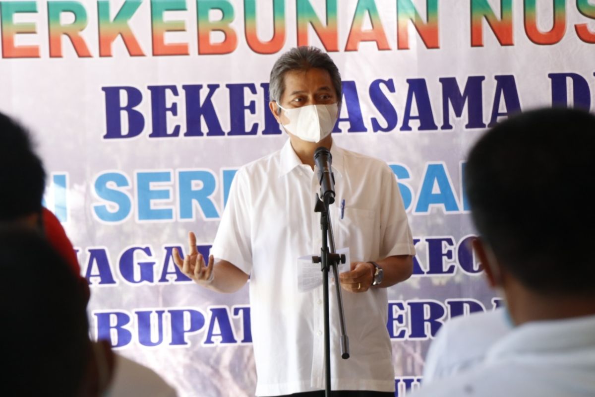 PTPN IV Menanam Mangrove, bantu perekonomian masyarakat pesisir pantai