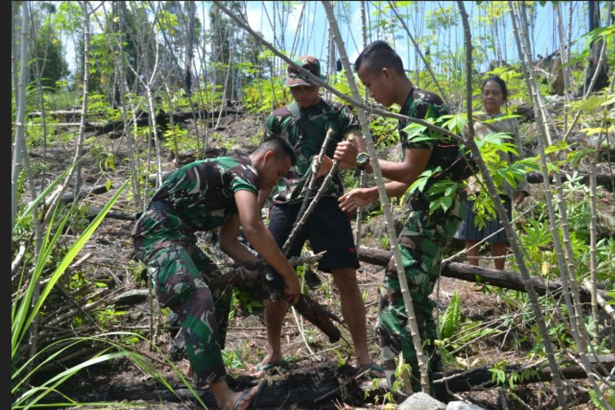 Anggota TMMD Ke 110 bahagia bisa bantu warga panen Singkong