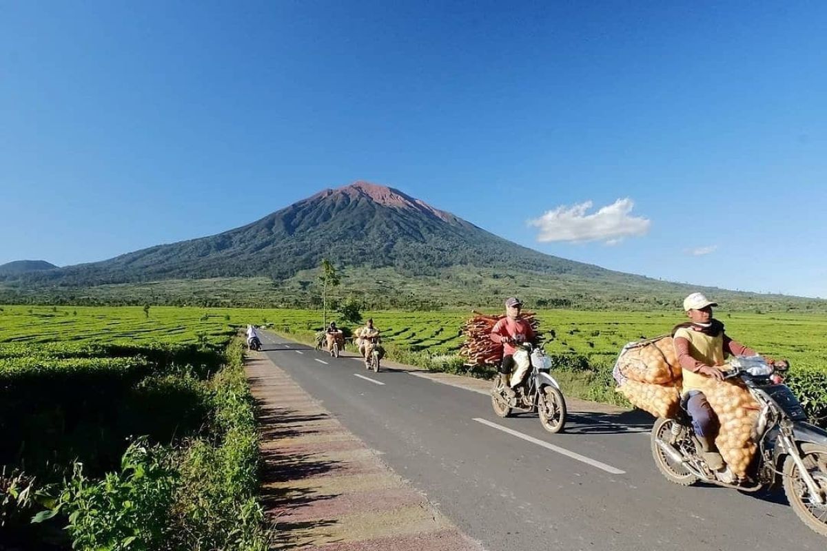 PHRI Jambi dorong hotel di daerah miliki sertifikasi bintang