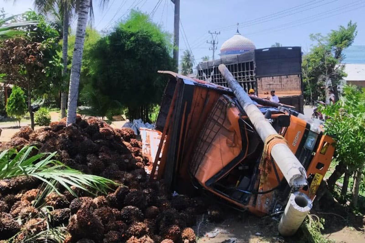 Truk pengangkut sawit terbalik di Aceh Timur