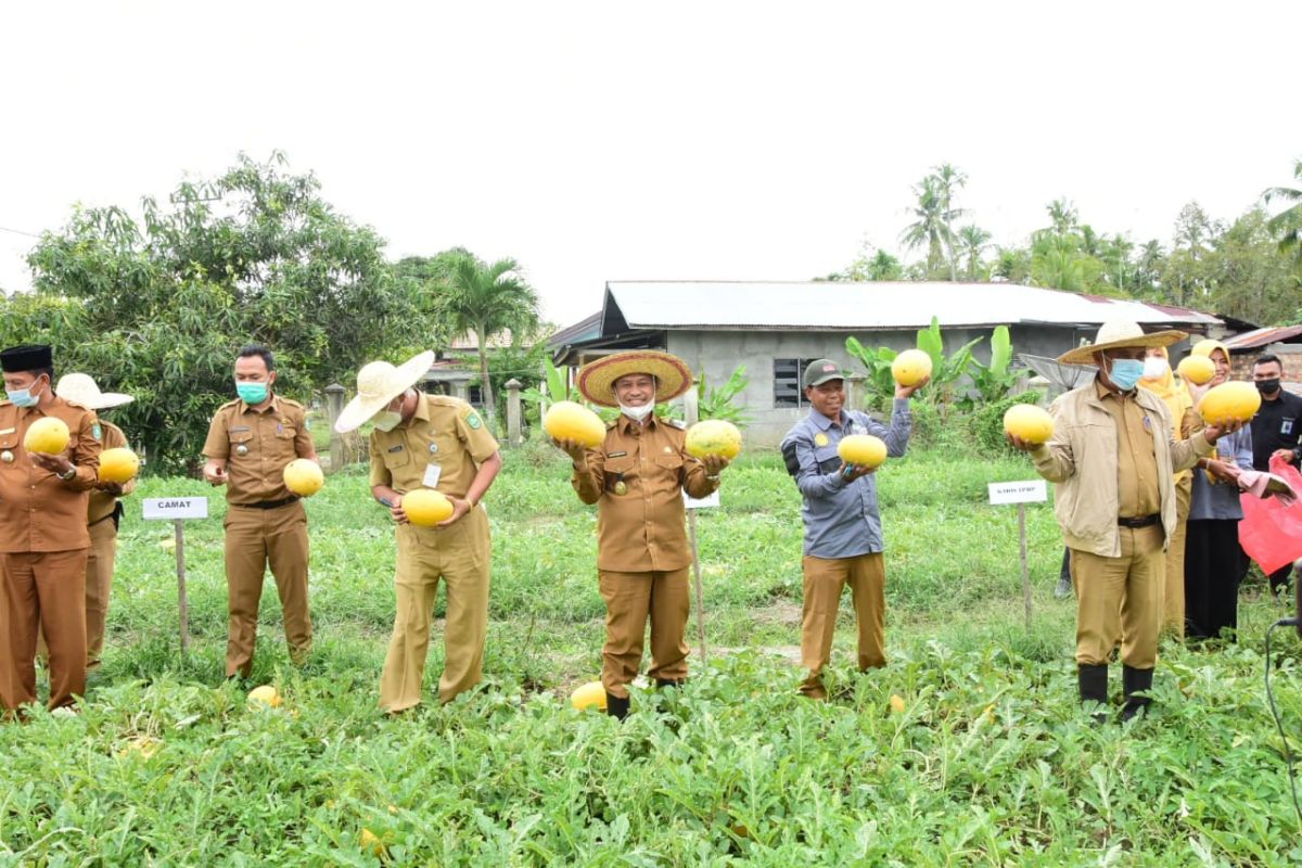 Wabup Bengkalis minta masyarakat manfaatkan lahan tidur