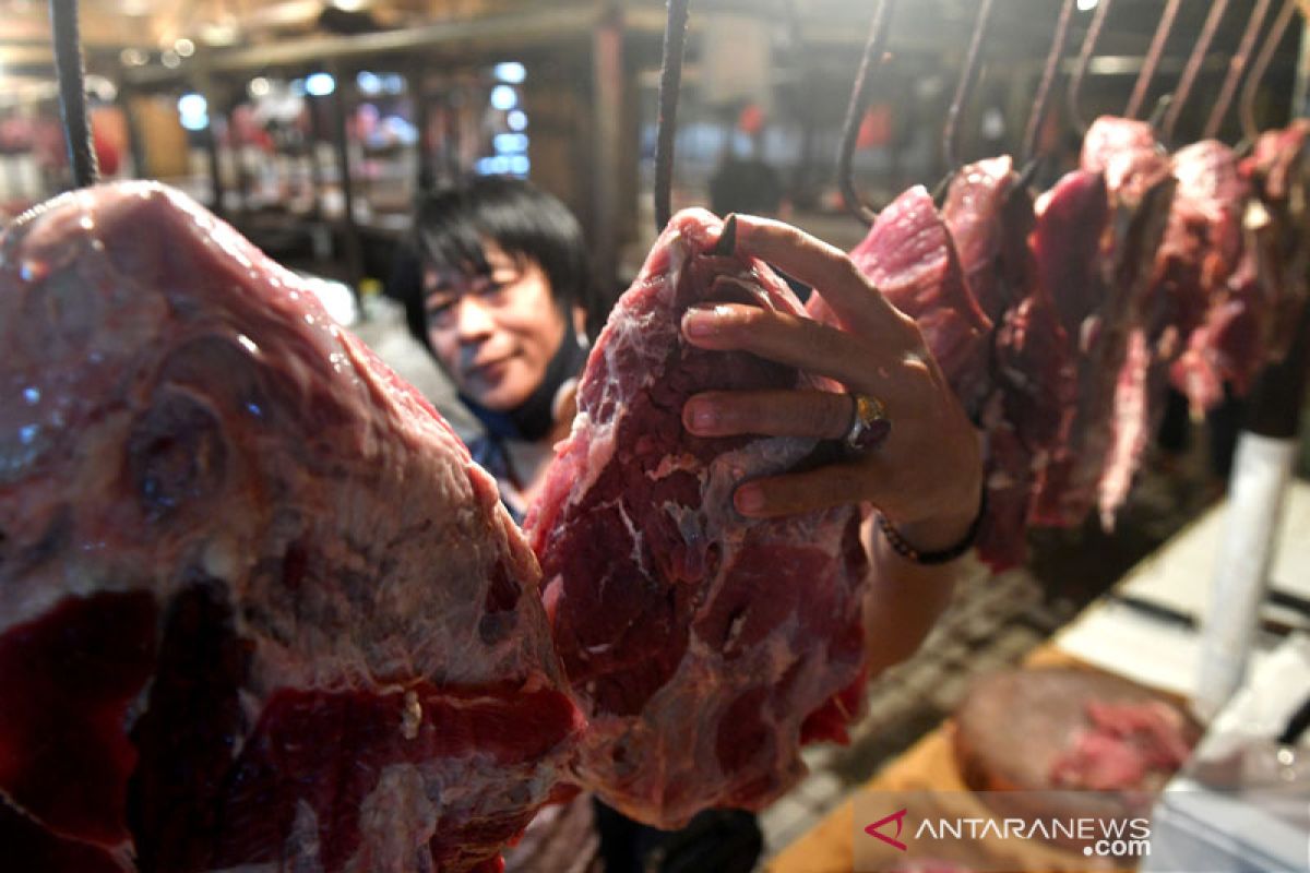 PT Berdikari akan datangkan 420 ton daging sapi impor sebelum Lebaran