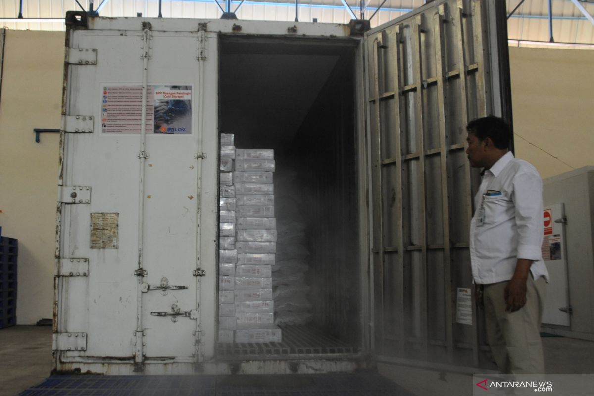 Bulog Belitung datangkan tujuh ton daging beku