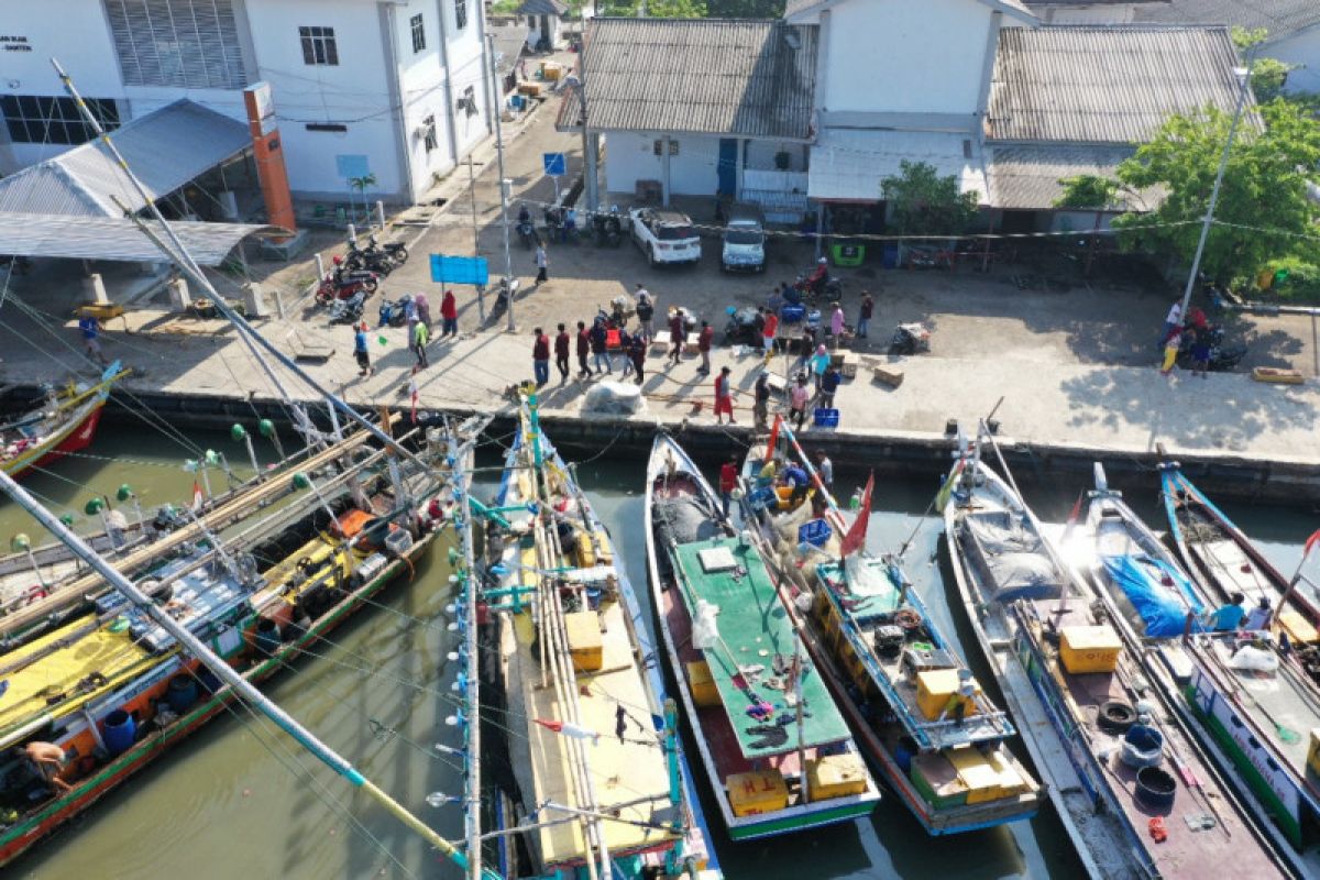 KKP digitalisasi layanan perikanan tangkap untuk akurasi pendataan penerimaan negara