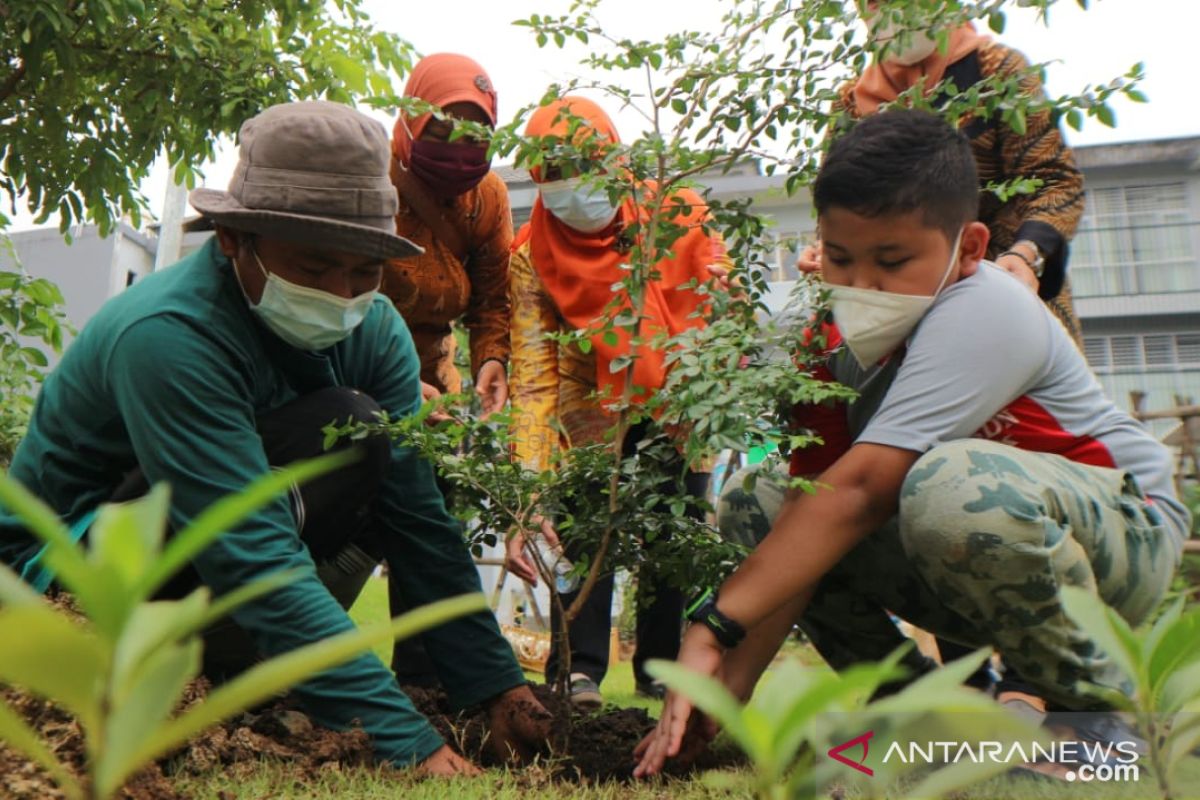 Mulai langka, siswa SD di Surabaya tanam ribuan pohon jeruk kingkit