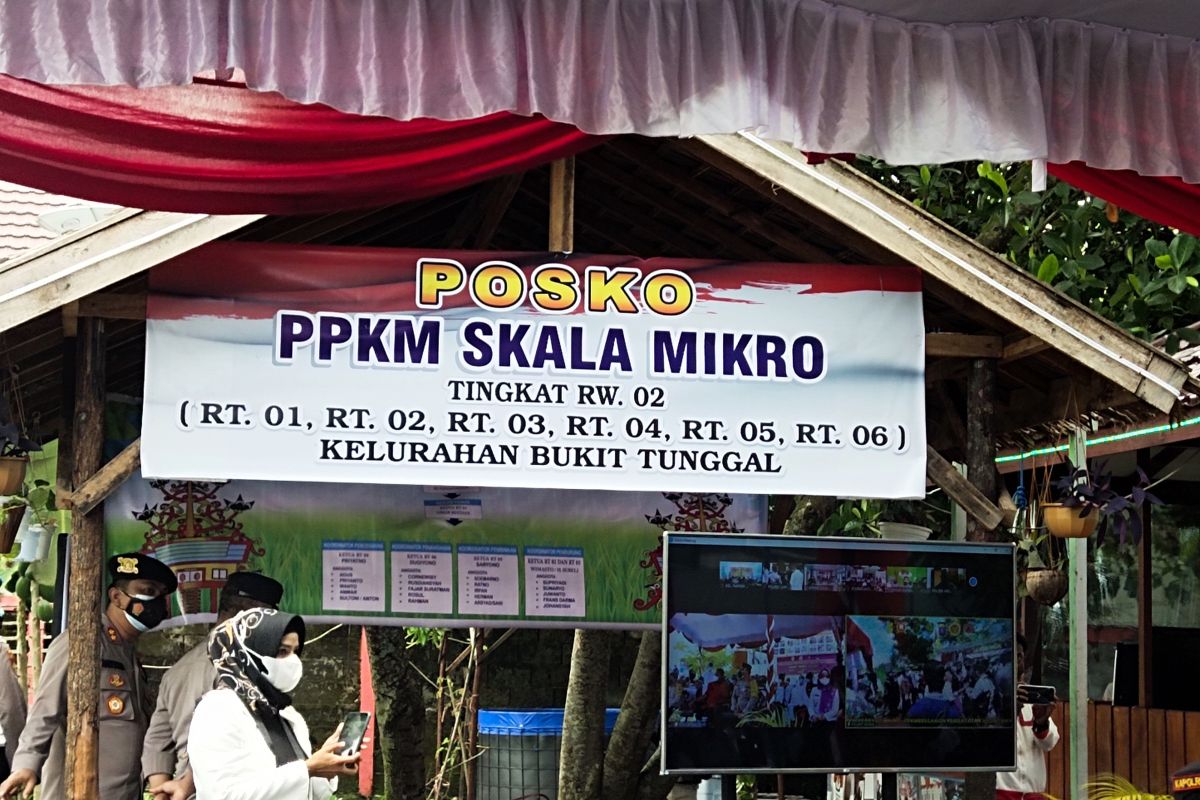 Pemkot Palangka Raya diminta perluas penerapan PPKM Mikro