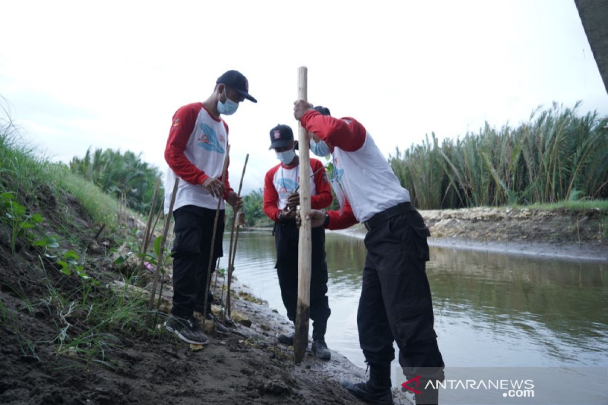 Tagana tanam 20 ribu bibit mangrove di Pangandaran