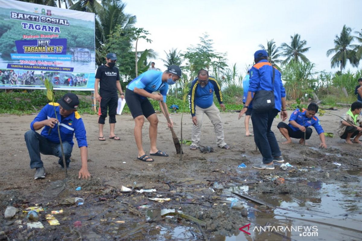 Bupati Sinjai : Penanaman bakau salah satu upaya mitigasi bencana