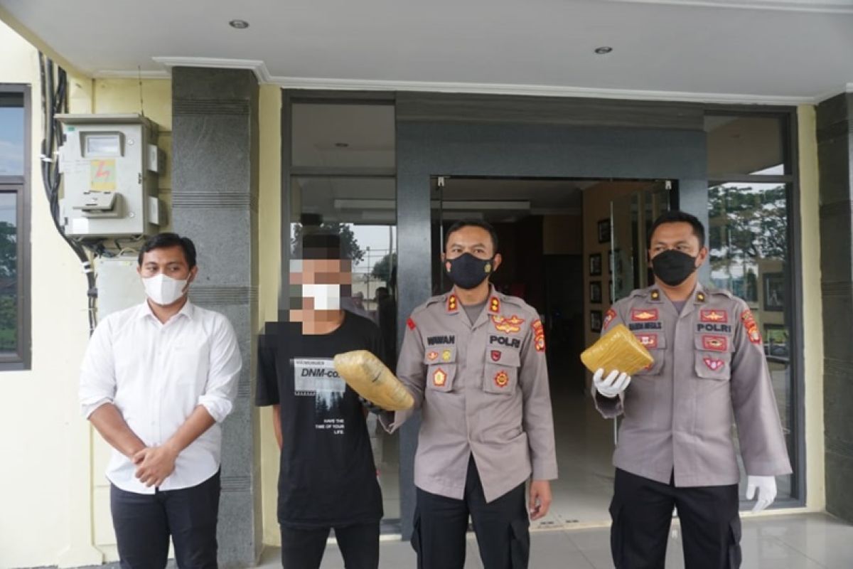 Bawa ganja 1,65 kilogram, seorang remaja dibekuk polisi