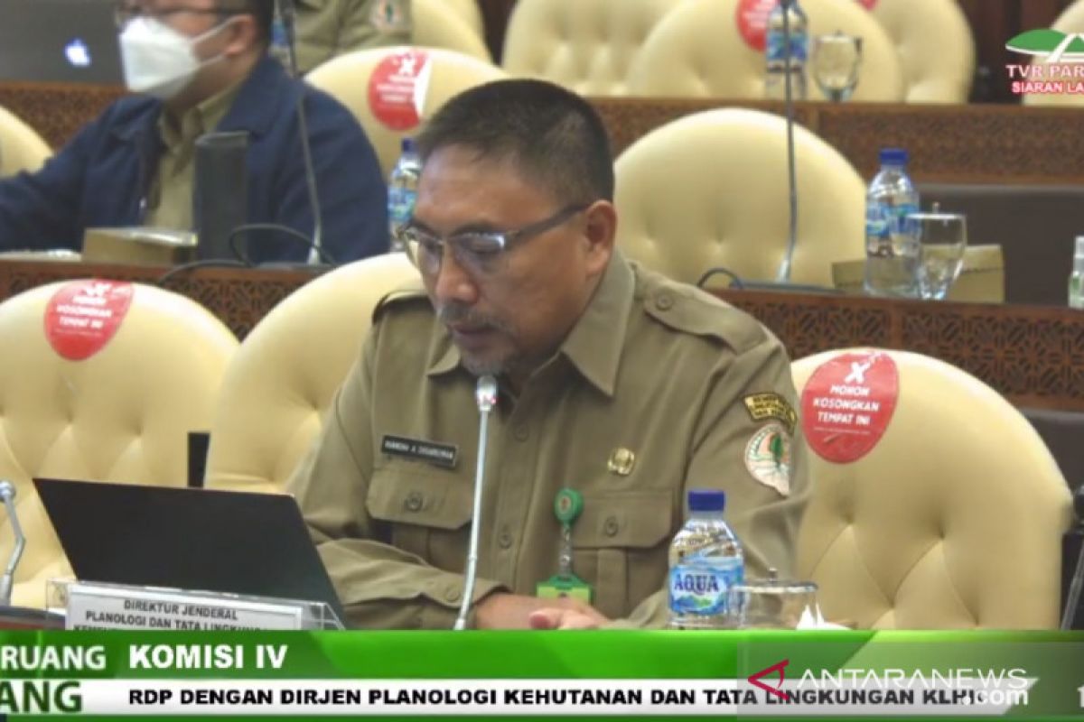 KLHK: Piutang penerimaan penggunaan kawasan hutan capai Rp2,6 triliun