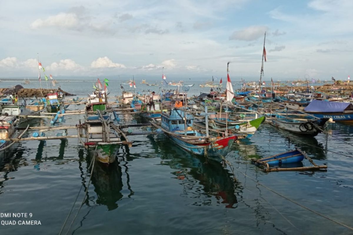 Nilai transaksi pelelangan ikan di Lebak tembus Rp4 miliar, hasil tangkapan 250 ton per bulan