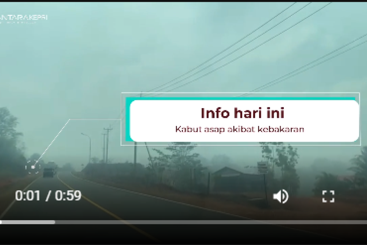 Info terkini: Kebakaran di jalan Lintas Barat Bintan