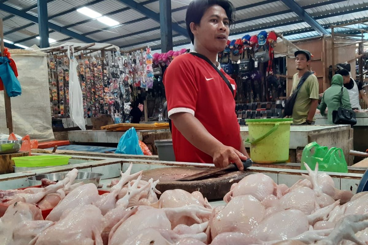 Harga daging ayam di Tanjungpinang stabil