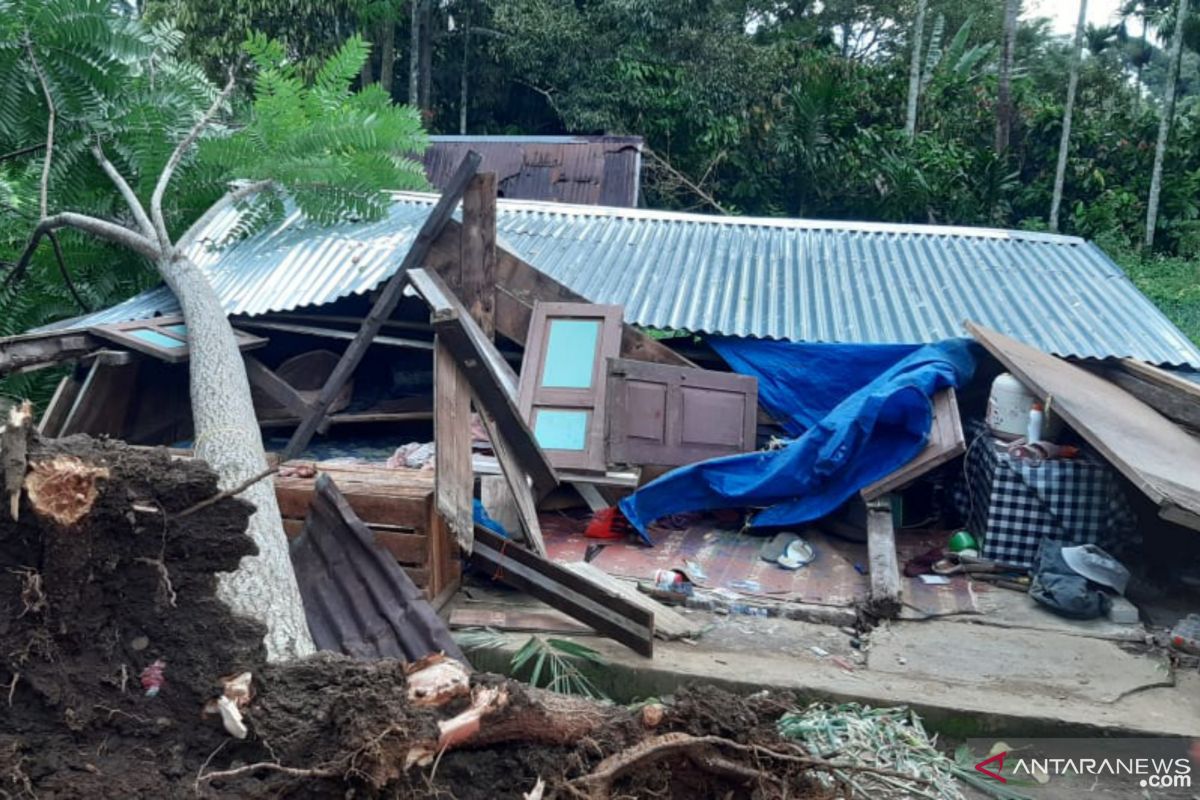 Angin kencang akibatkan pohon tumbang dan menimpa sejumlah rumah di Tanah Datar