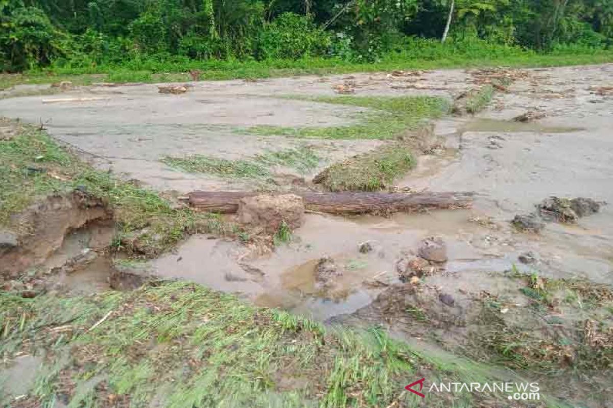 Seratusan hektare sawah di Parigi Moutong  terendam banjir