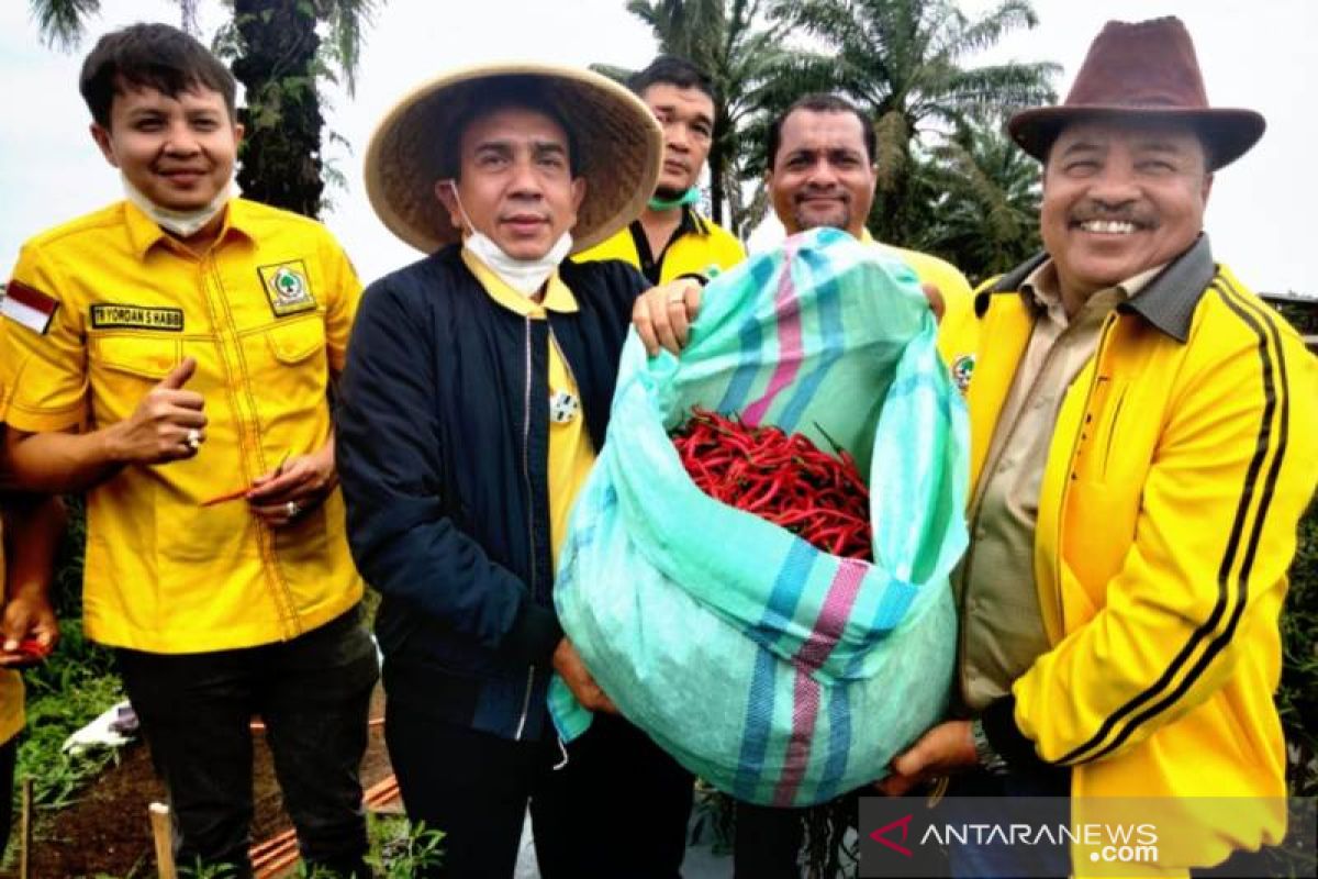 TRK kembangkan tanaman cabai di areal 20 hektare