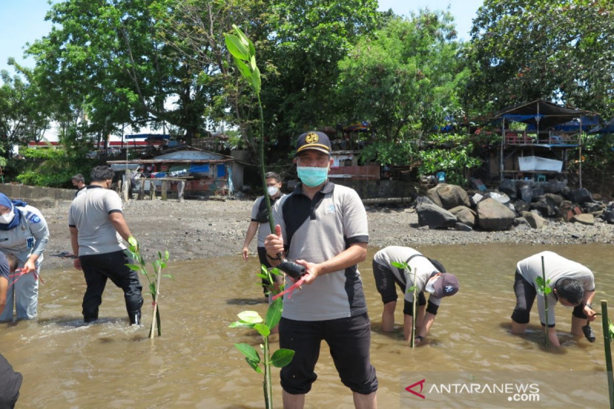 Jasa Raharja Sulut tanam mangrove di Pantai Malalayang