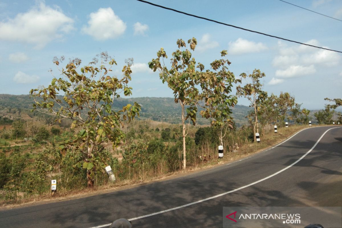 Bantul optimalkan potensi wisata dan aset dukung agrowisata Nawungan