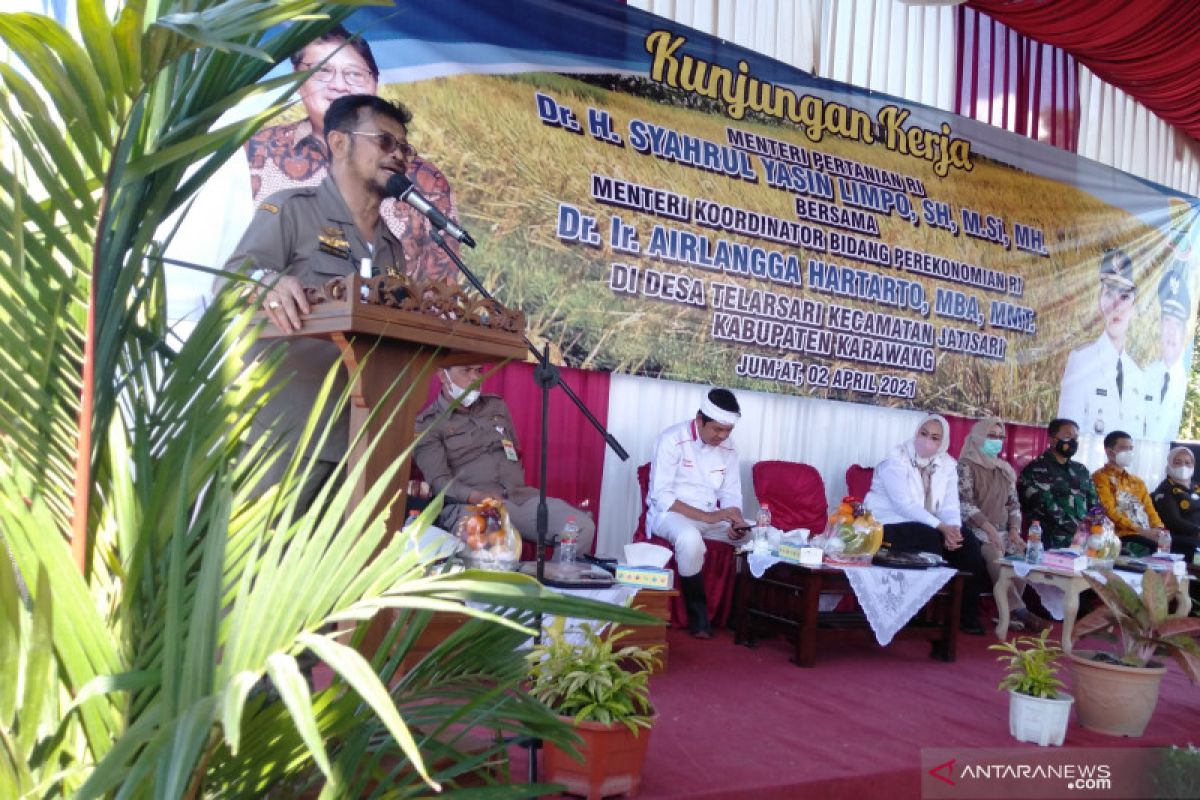 Jaga stok beras, Kementan kawal panen dan penyerapan gabah