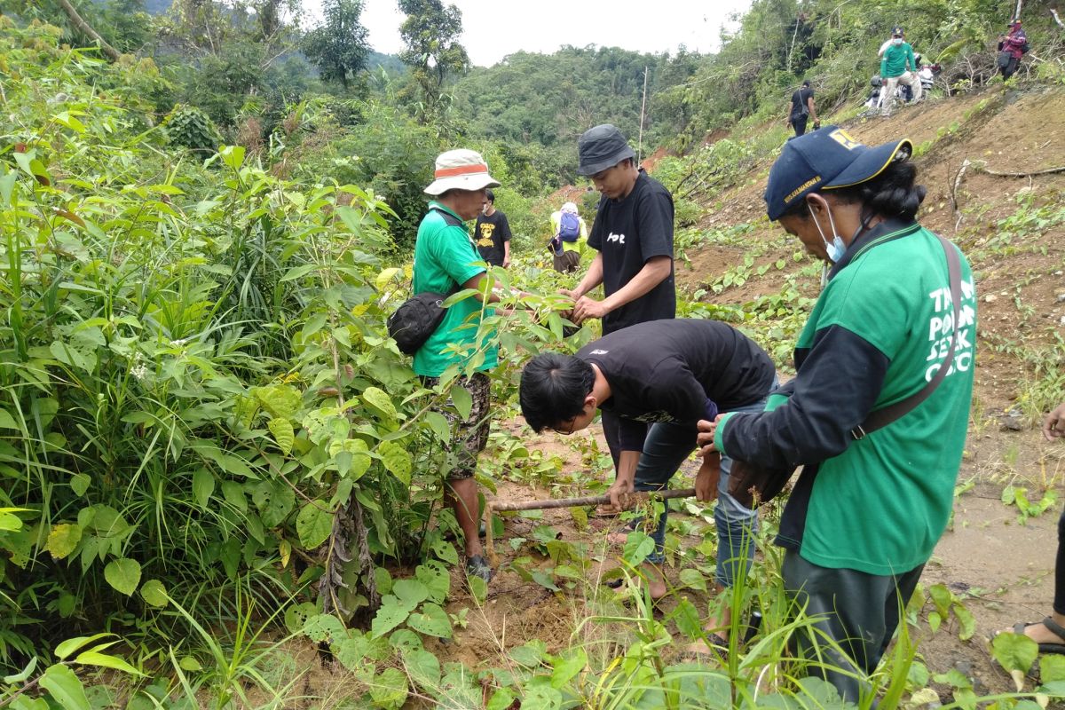 700 pohon enau Balangan ditanam di Loksado dan Piani