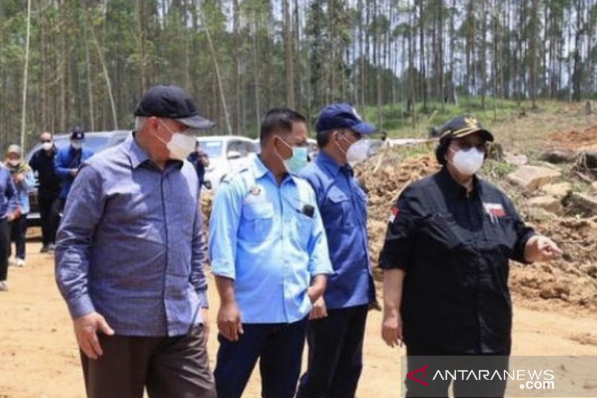 Pemerintah pastikan penataan IKN  tak ganggu konservasi hutan lindung