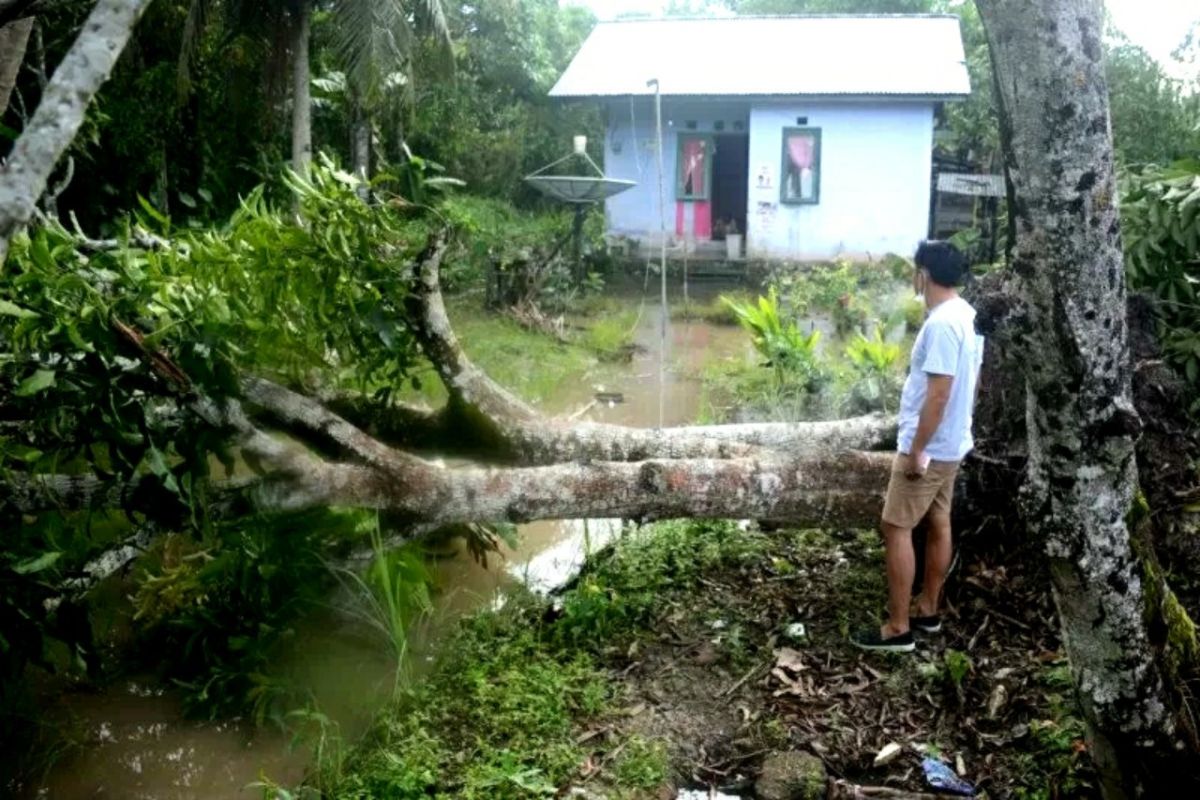 BNPB: Banjir hingga longsor terjadi di Kabupaten Barru