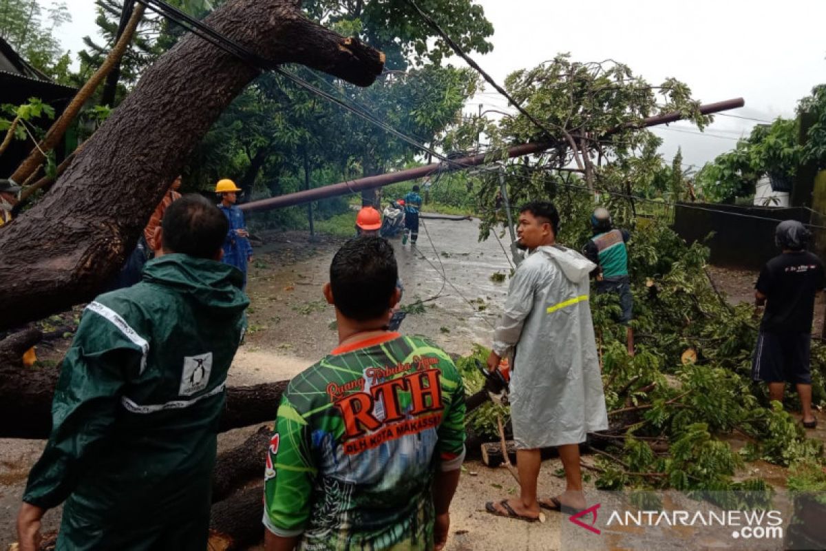 PLN UIW Sulselbar pulihkan 96 persen gardu listrik terdampak cuaca ekstrem