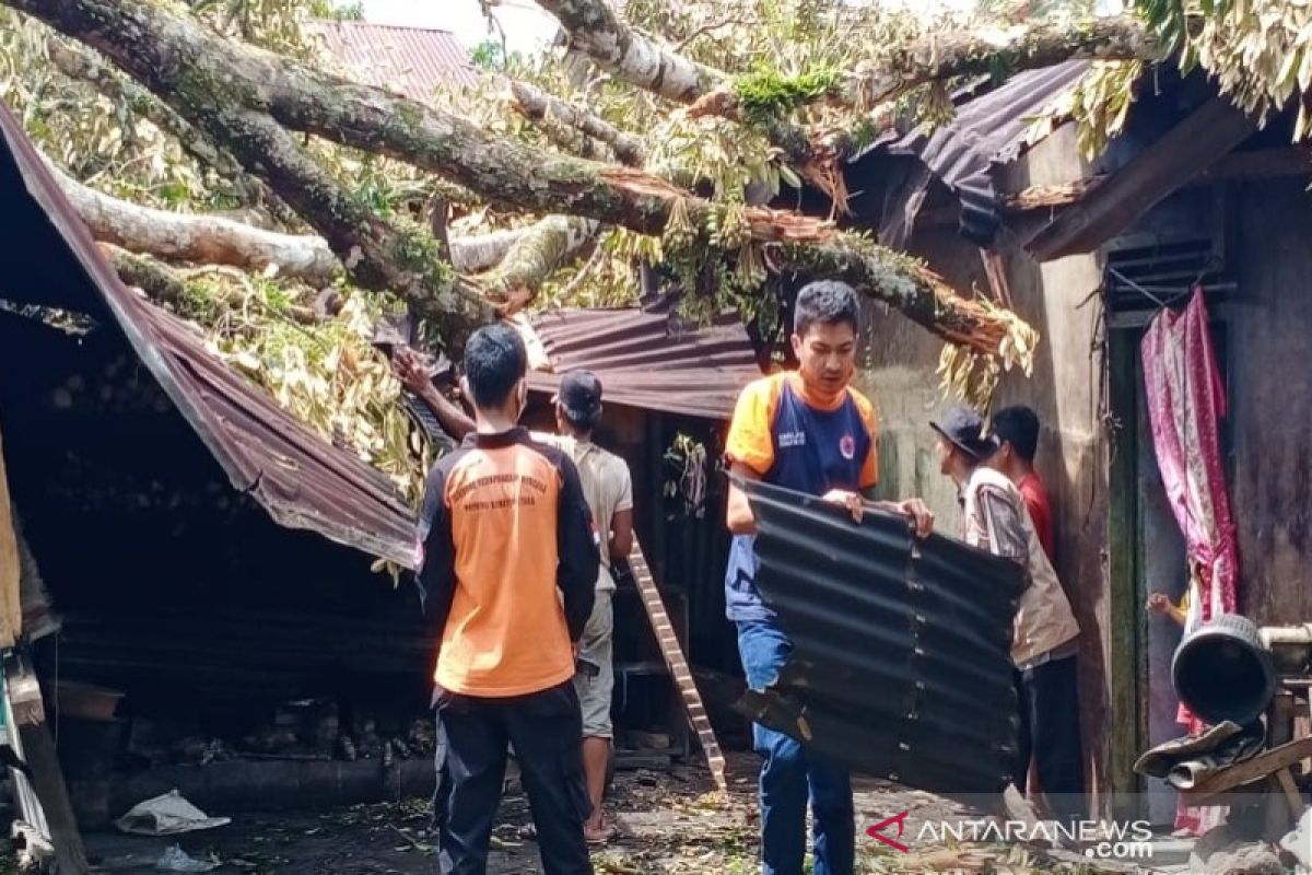 BPBD: Ini catatan bencana akibat angin kencang di Tapsel